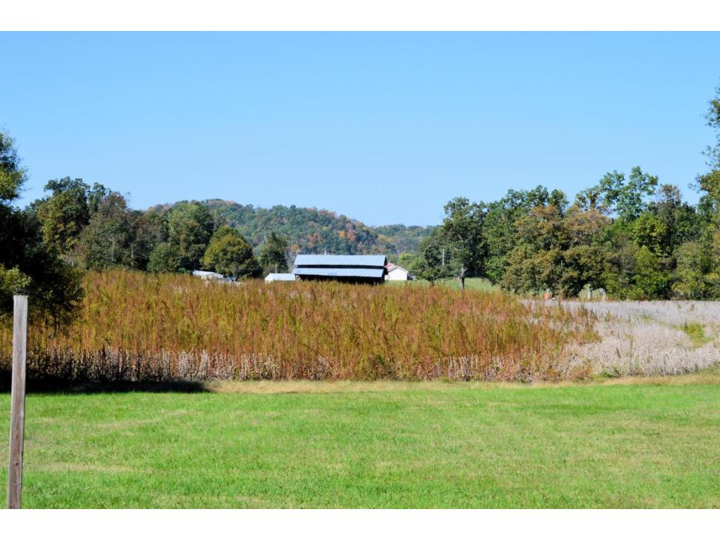 485 South Water Fork Road Greeneville, TN 37743 - Photo 5 of 24 View of field to barn