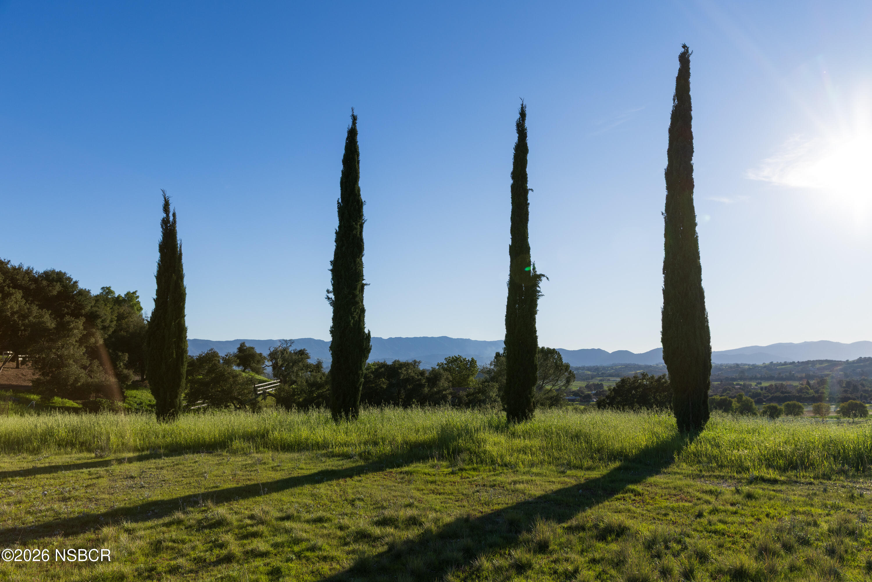 2865 North Refugio Road Santa Ynez, CA 93460 - Photo 25 of 37 a view of a garden with palm trees
