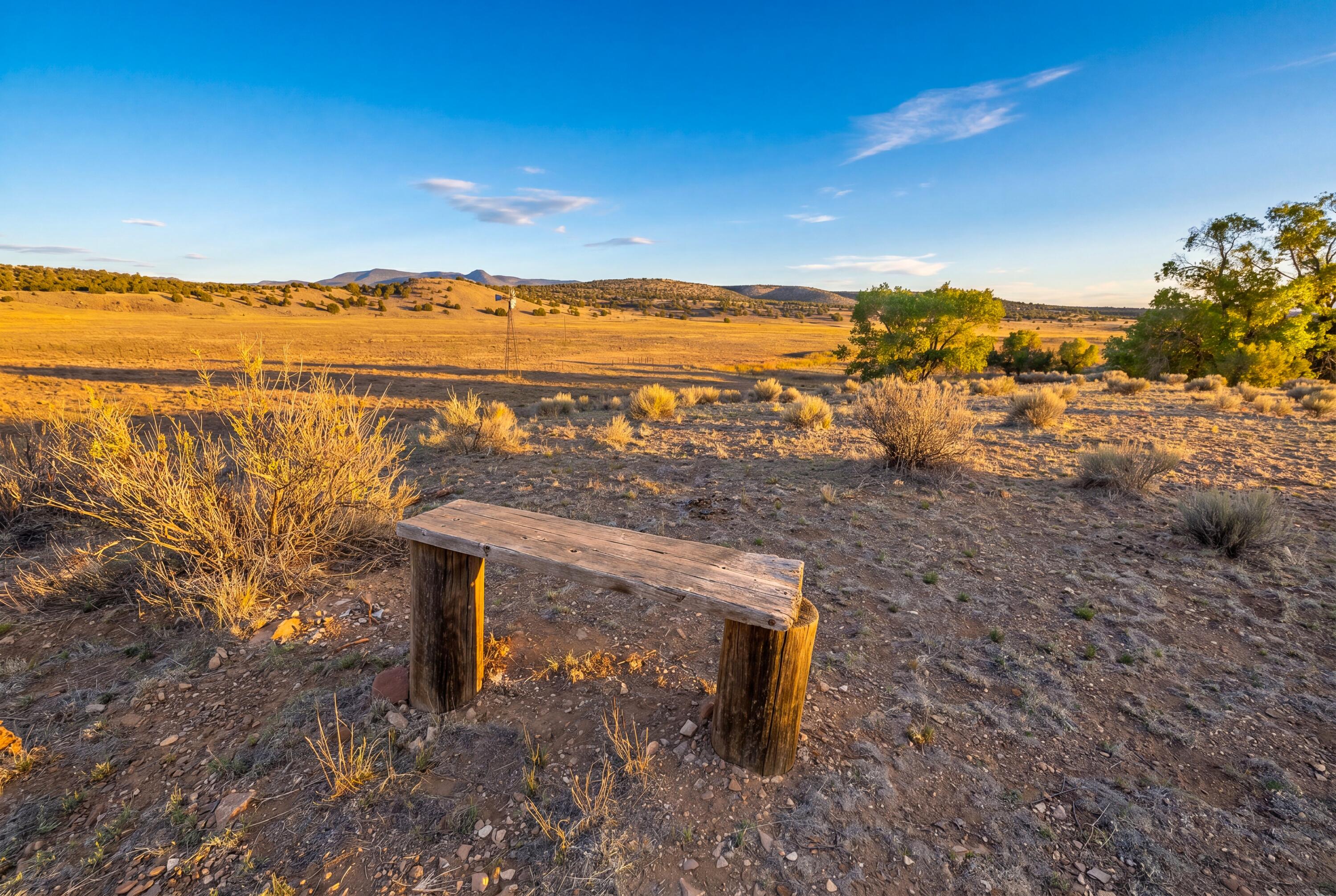 116 Thomas Ranch Road Datil, NM 87821 - Photo 44 of 45 Gallery Image 44