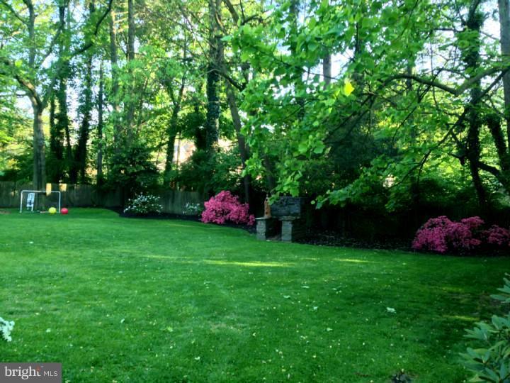 3912 Netherfield Road Philadelphia, PA 19129 - Photo 4 of 25 Back Yard