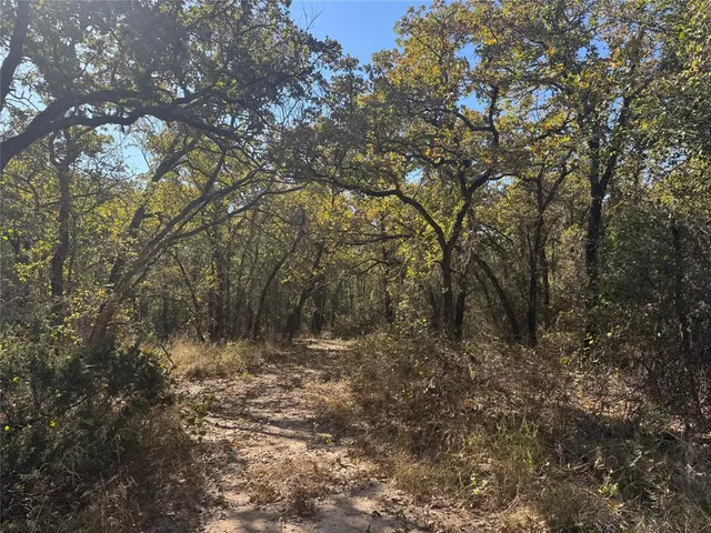a view of outdoor space and trees