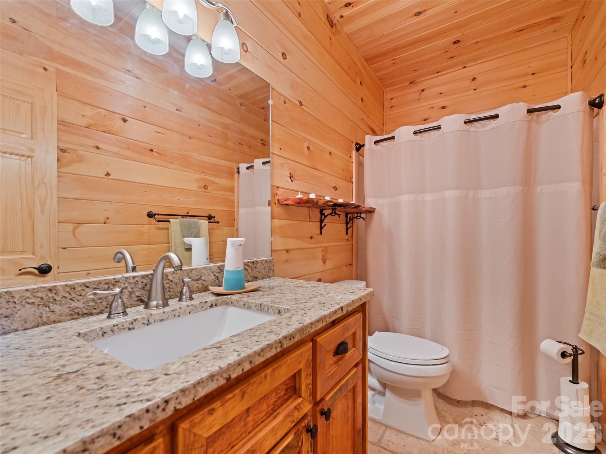 693 High Splendor Drive Robbinsville, NC 28771 - Photo 20 of 48 a bathroom with a granite countertop sink toilet and shower