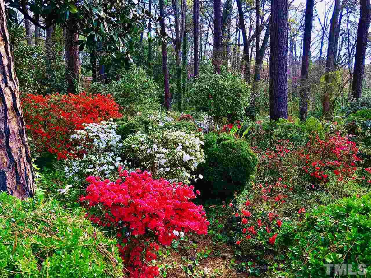3019 Hope Valley Road Durham, NC 27707 - Photo 30 of 30 Gallery Image 30