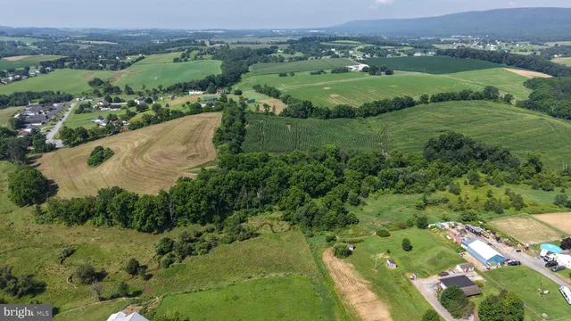 an aerial view of green landscape with trees houses and mountain view