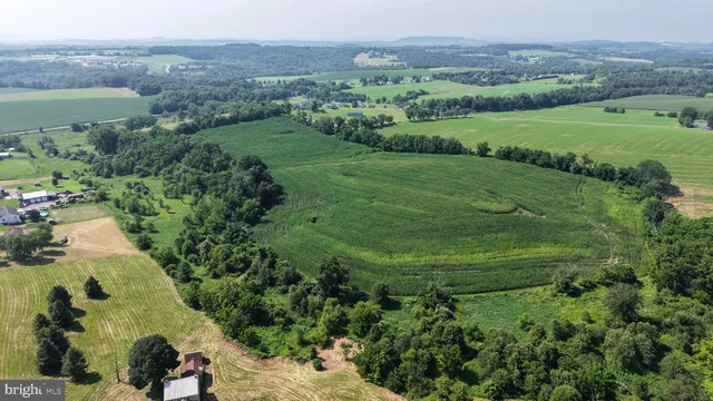 an aerial view of green landscape with trees houses and mountain view