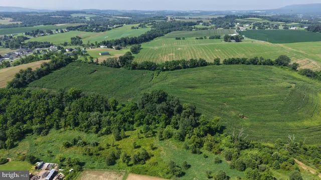 an aerial view of green landscape with trees