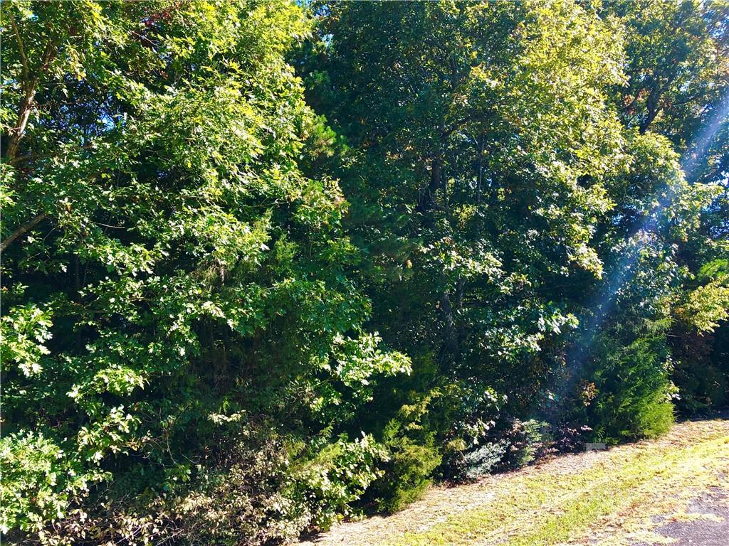Vac Beth Road Albemarle, NC 28001 - Photo 3 of 4 Gallery Image 3