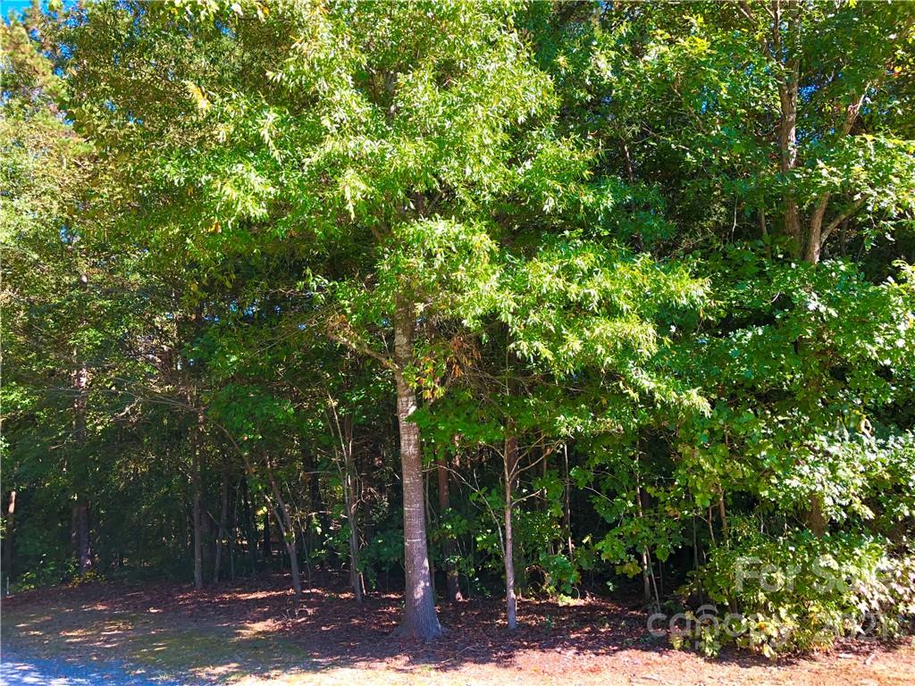 Vac Beth Road Albemarle, NC 28001 - Photo 4 of 4 Gallery Image 4