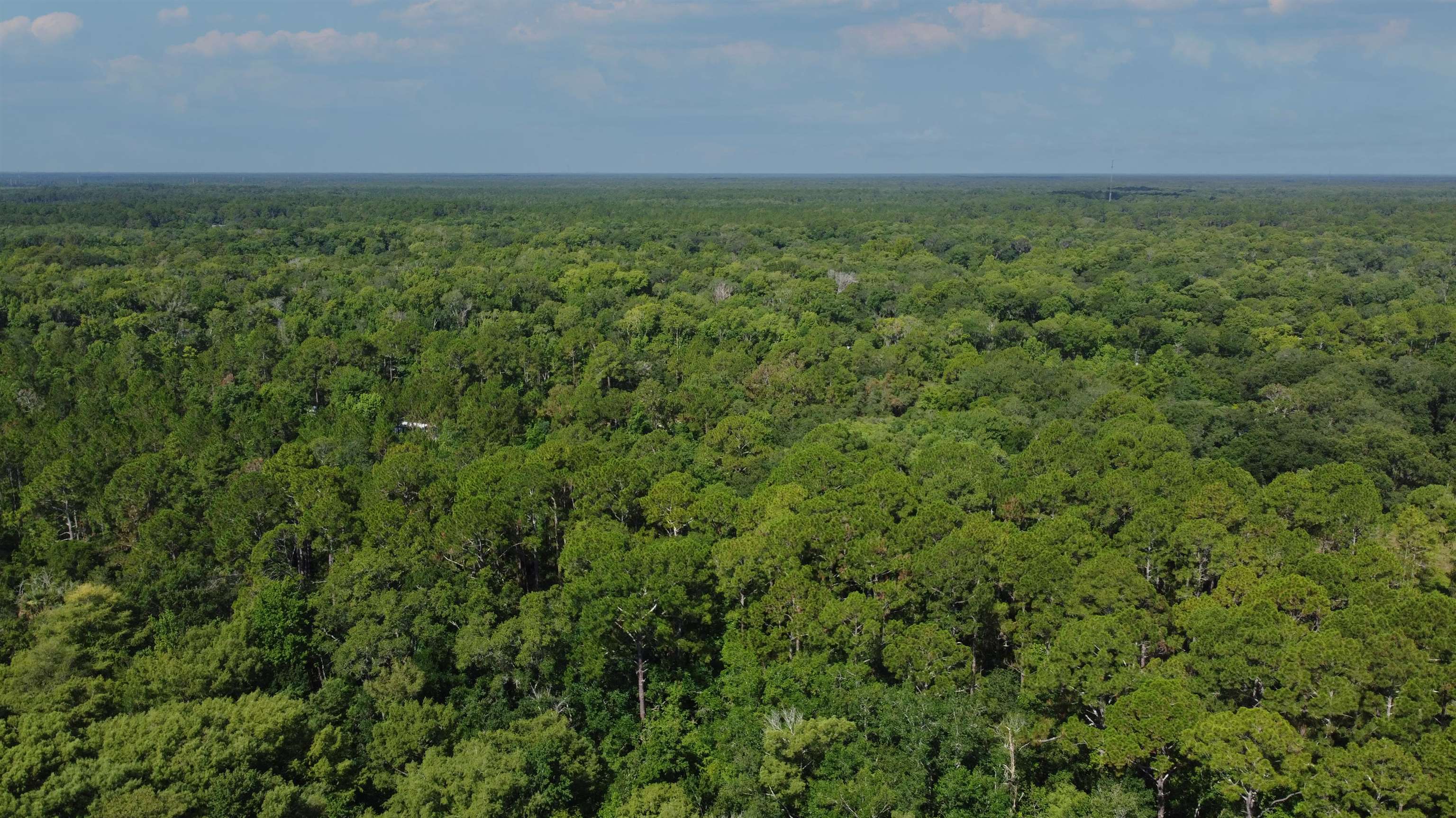 2100 Deer Run Road St. Augustine, FL 32084 - Photo 5 of 17 a view of a field with an outdoor space