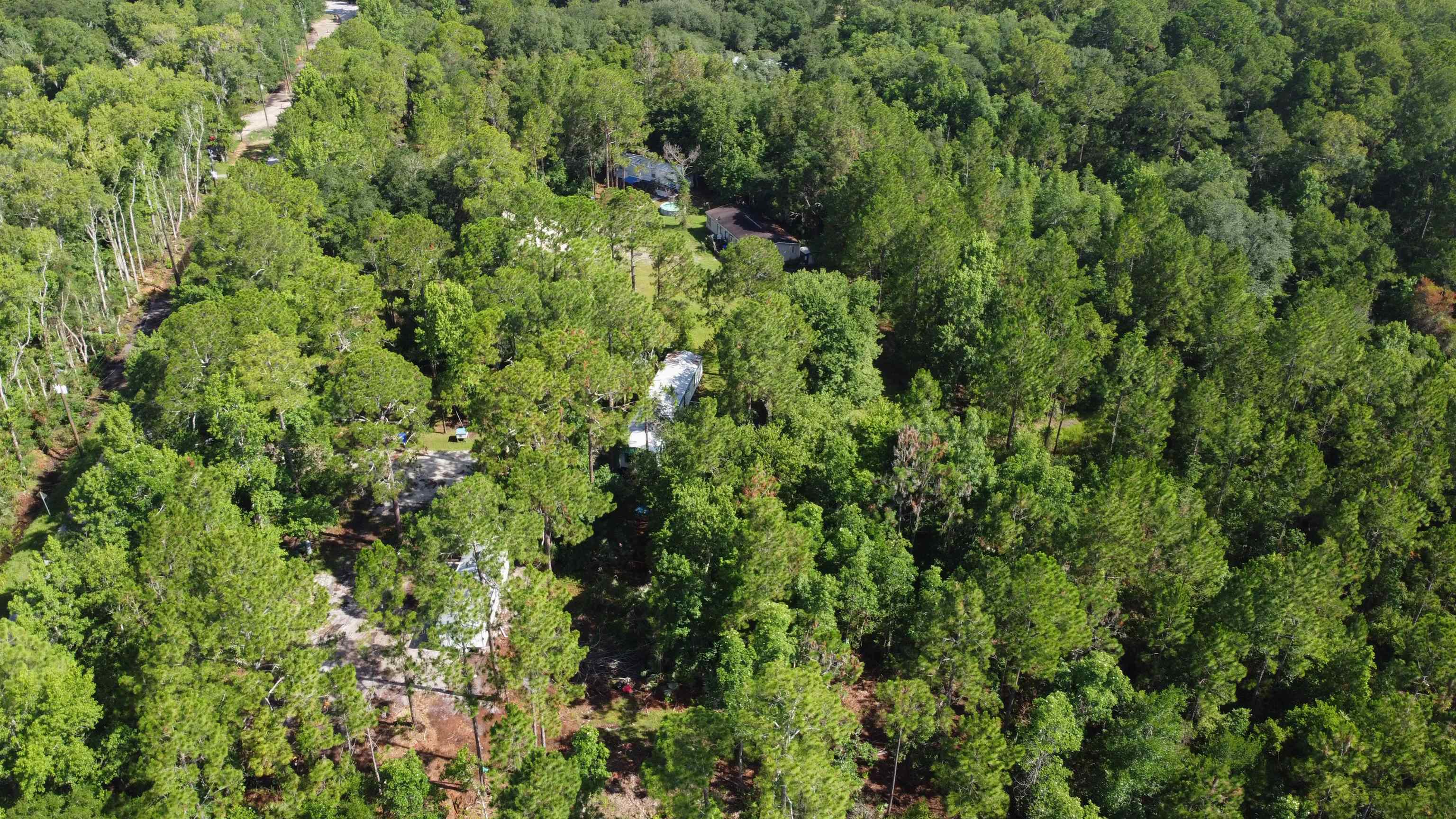 2100 Deer Run Road St. Augustine, FL 32084 - Photo 8 of 17 a view of a lush green forest