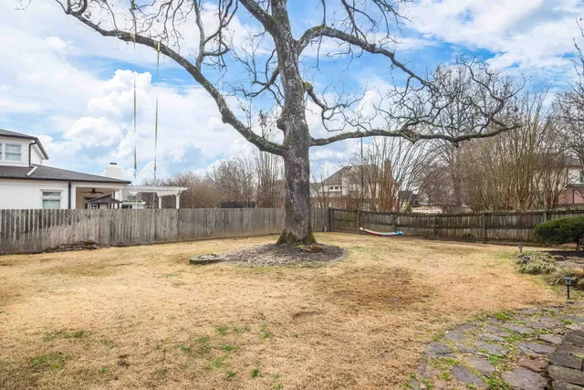a view of a yard with a tree