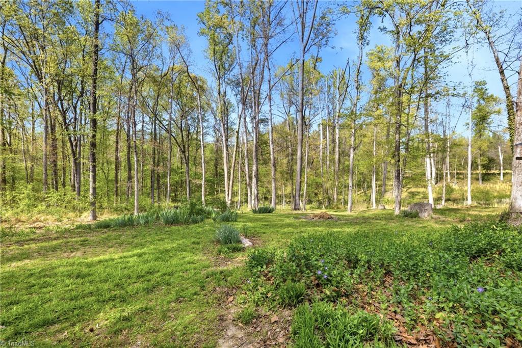 4348 Brandy Road Greensboro, NC 27407 - Photo 31 of 40