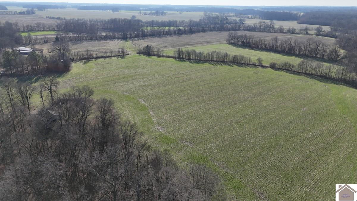 0 Erwin Road Murray, KY 42071 - Photo 16 of 24 Photo 16