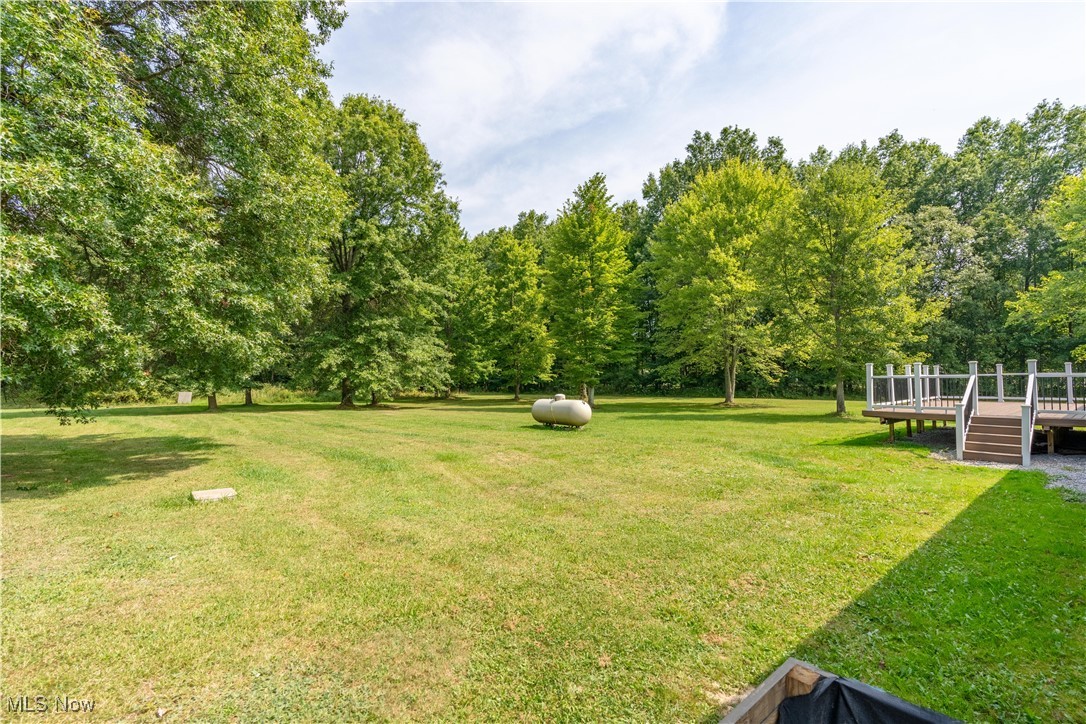 10621 Jones Road Diamond, OH 44412 - Photo 40 of 42 Gallery Image 40