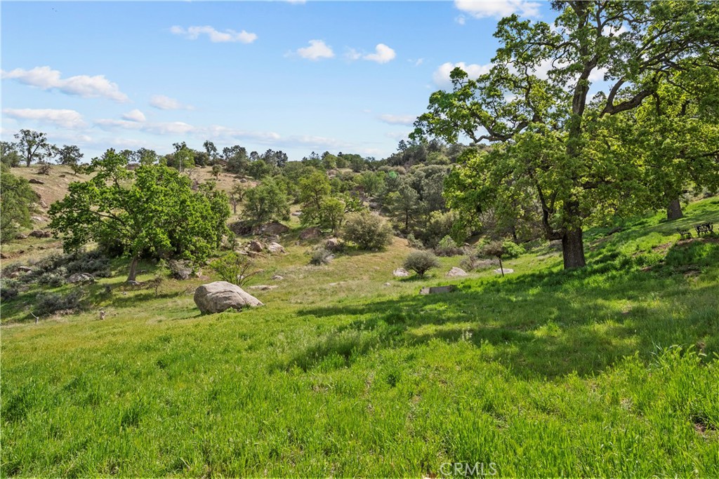 29570 Butterfield Way Tehachapi, CA 93561 - Photo 47 of 50 a view of a green field with lots of bushes