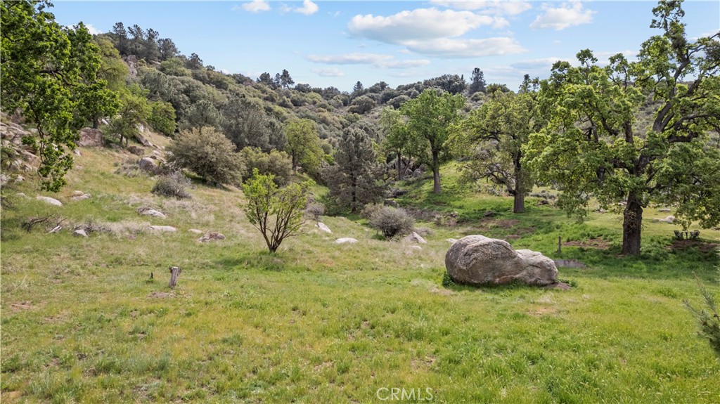 29570 Butterfield Way Tehachapi, CA 93561 - Photo 8 of 50 a view of a trees