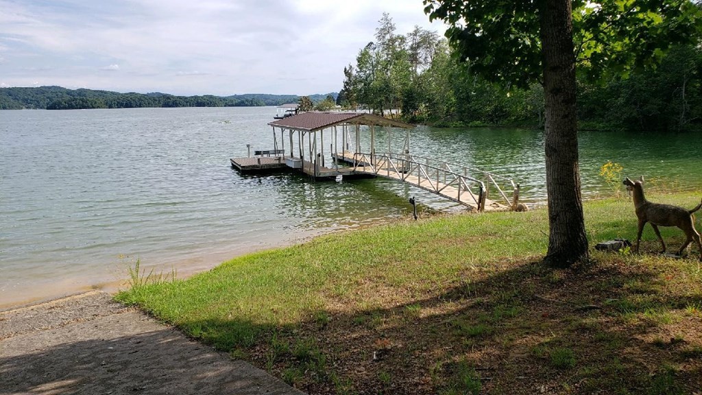 334 Catawba Road Bean Station, TN 37708 - Photo 14 of 57 Gallery Image 14