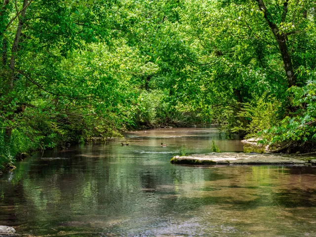 $505,000 | 0 Shelbyville Highway, Fayetteville, TN 37334