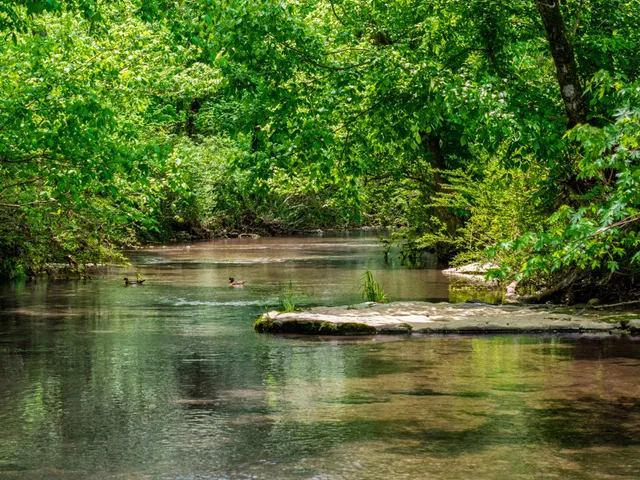 $505,000 | 0 Shelbyville Highway, Fayetteville, TN 37334