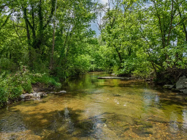 $505,000 | 0 Shelbyville Highway, Fayetteville, TN 37334