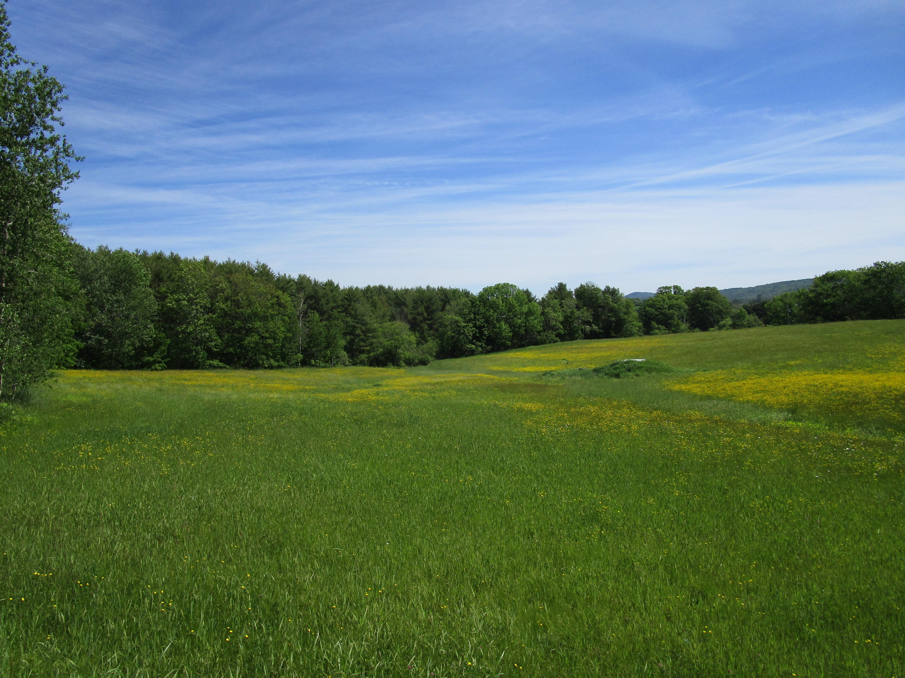 -lot B Cole Road Union, ME 04862 - Photo 11 of 12 IMG_0315