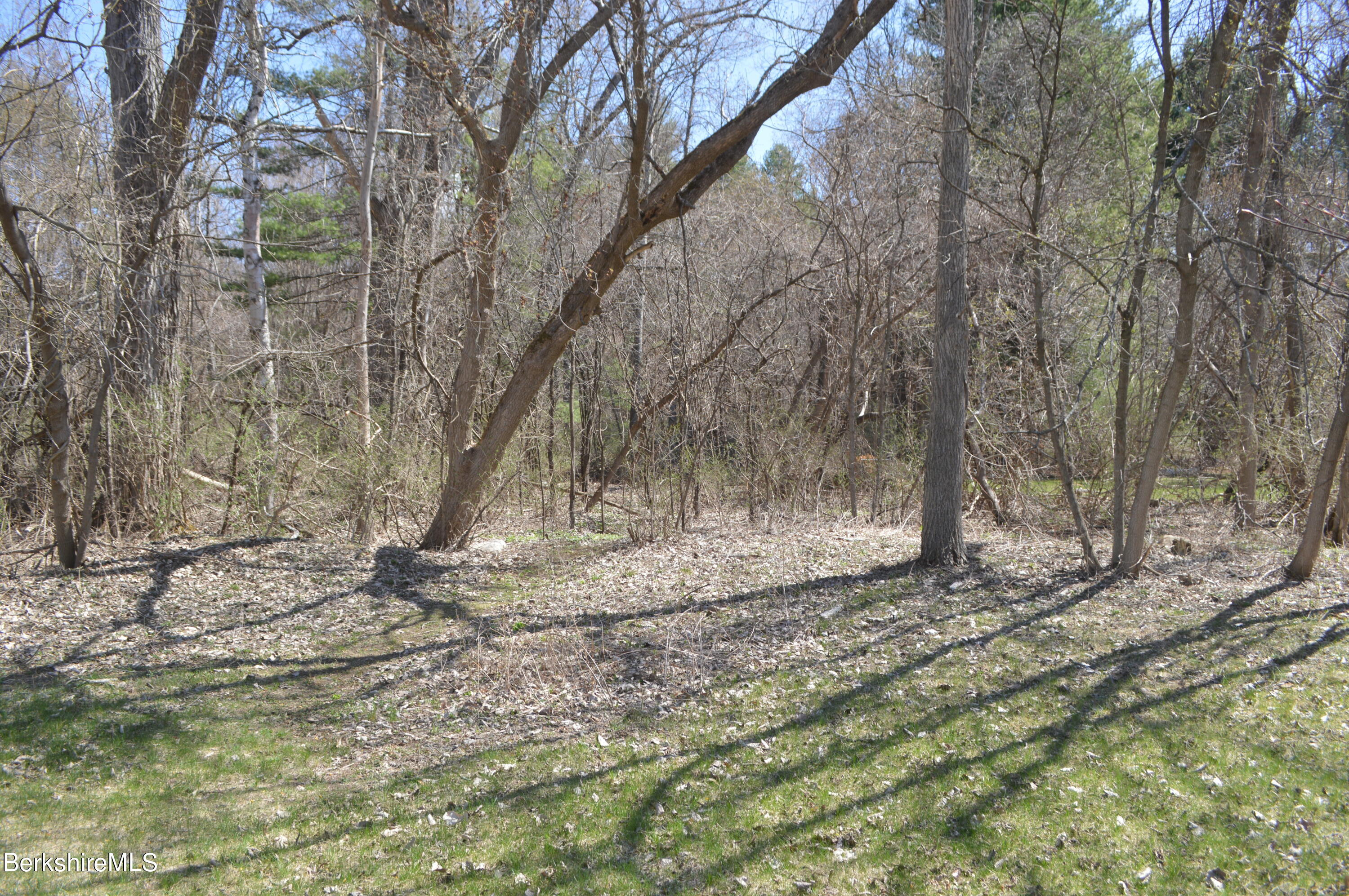 12 East New Lenox Road Lenox, MA 01240 - Photo 32 of 36 walking trails