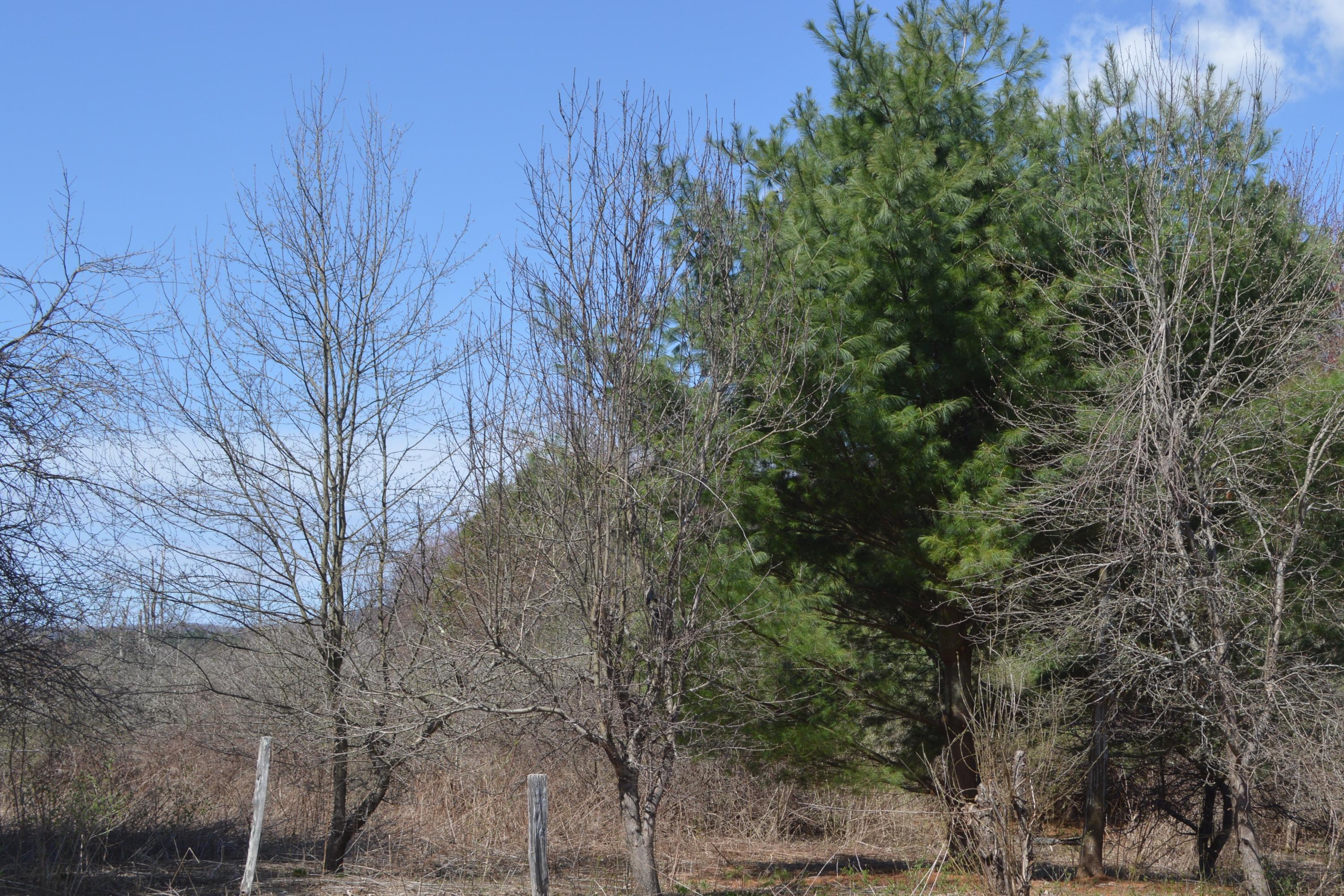 12 East New Lenox Road Lenox, MA 01240 - Photo 34 of 36 state land