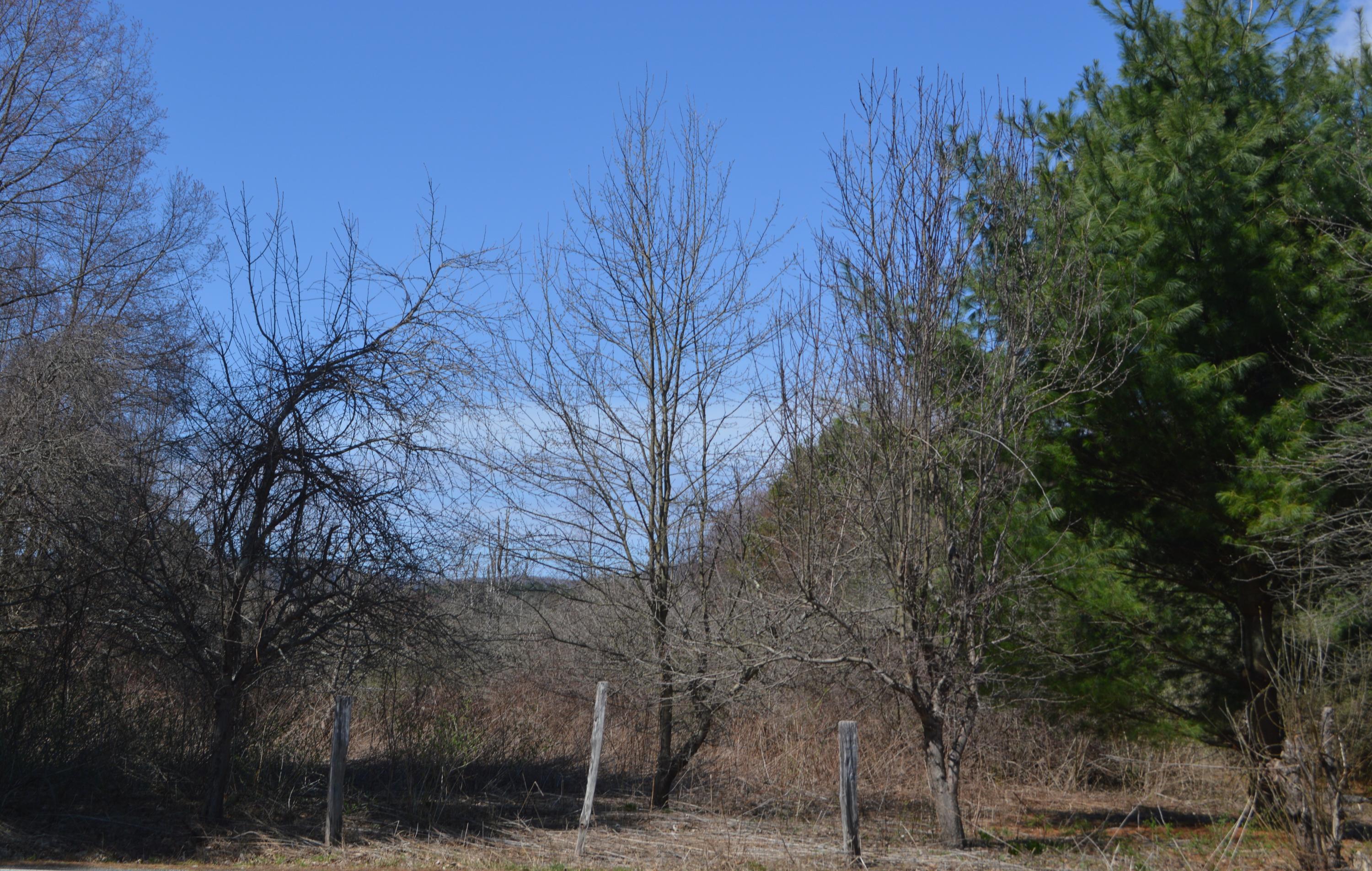 12 East New Lenox Road Lenox, MA 01240 - Photo 35 of 36 across from state land
