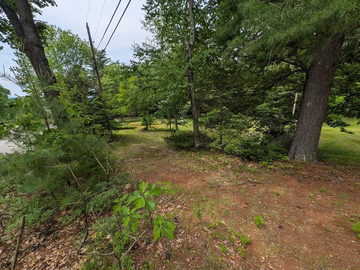 258 Bolton Road Winchester, NH 03470 - Photo 4 of 18