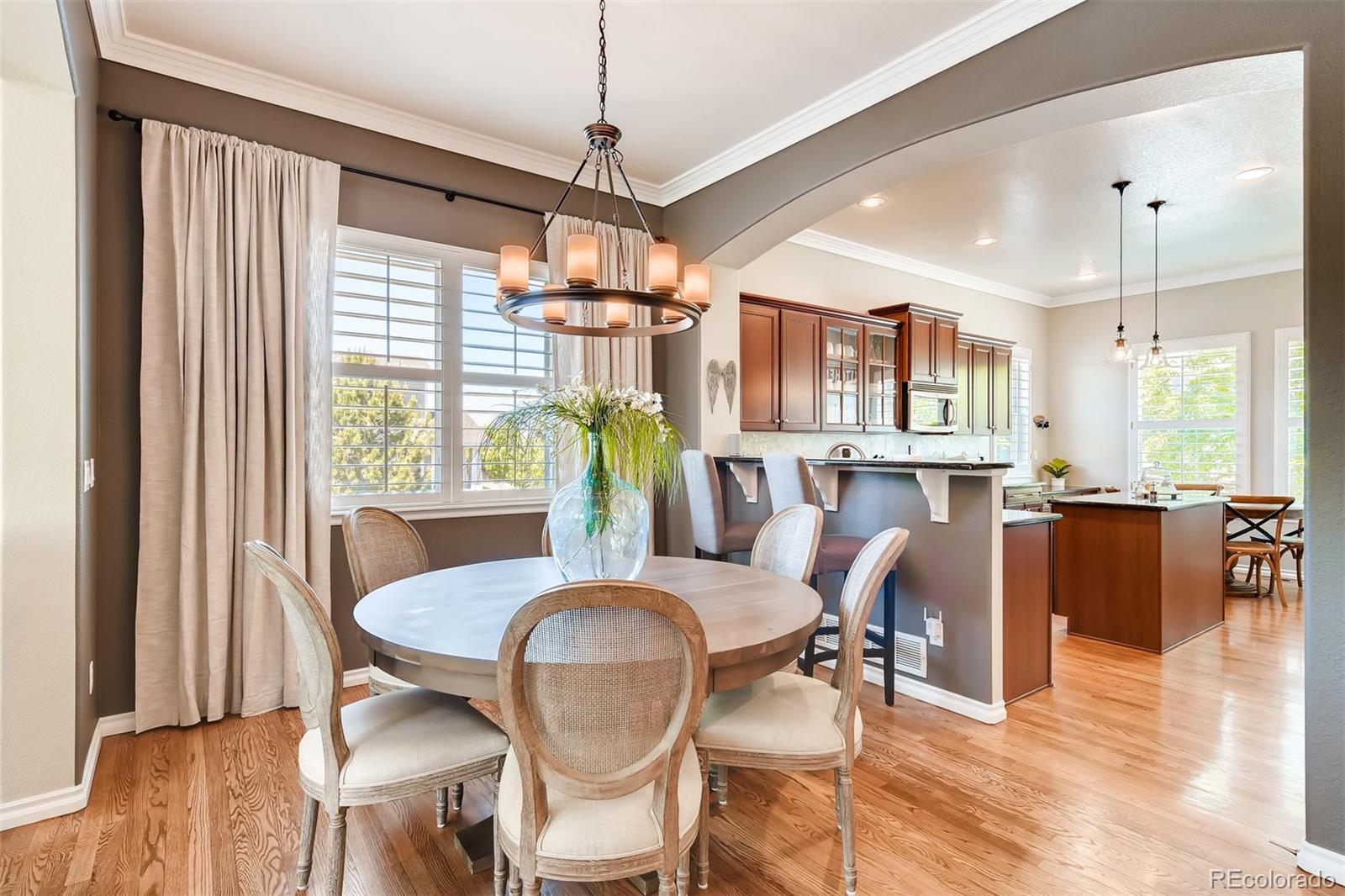 10902 Towerbridge Road Highlands Ranch, CO 80130 - Photo 13 of 38