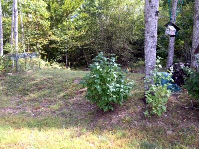 147 Whitaker Road Troy, ME 04987 - Photo 14 of 23 Yard