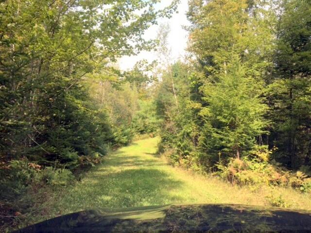 147 Whitaker Road Troy, ME 04987 - Photo 16 of 23 Trail to shooting range