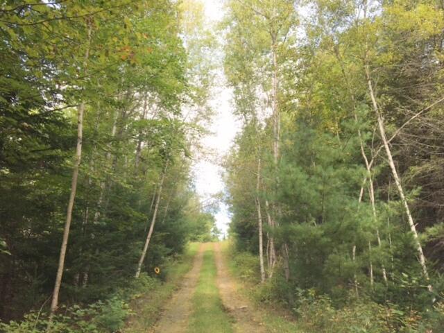 147 Whitaker Road Troy, ME 04987 - Photo 22 of 23 Road coming in