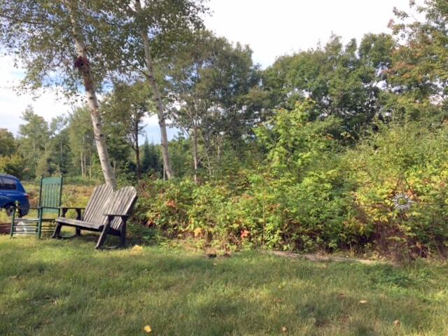 147 Whitaker Road Troy, ME 04987 - Photo 10 of 23 Lovely grounds