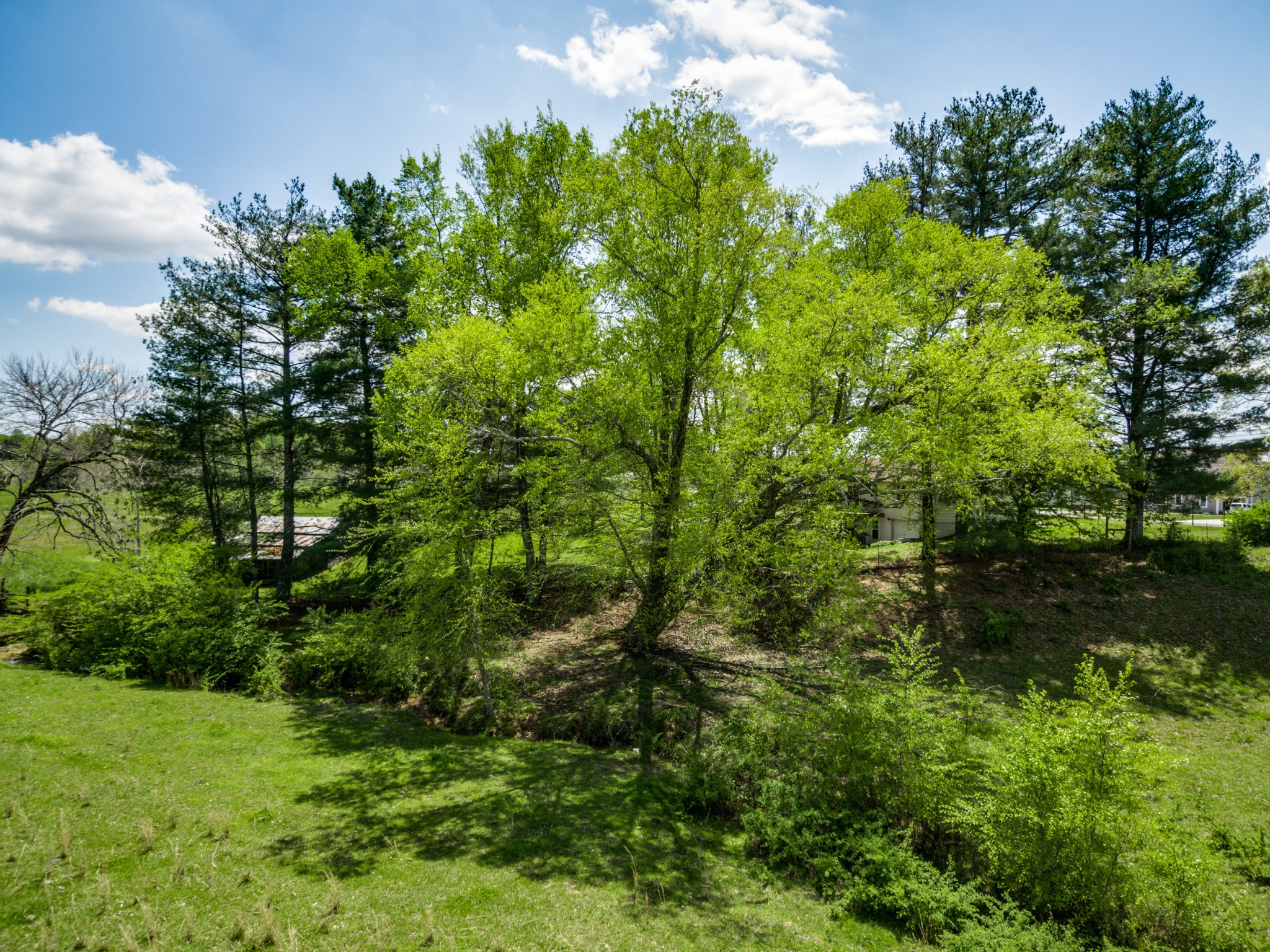 5572 Academy Road Cookeville, TN 38506 - Photo 49 of 50 Gallery Image 49