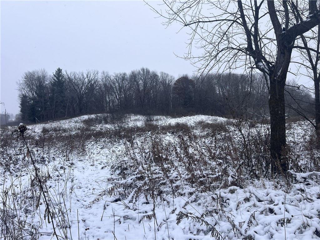 Tbd County Line Avenue Clear Lake, WI 54005 - Photo 1 of 8