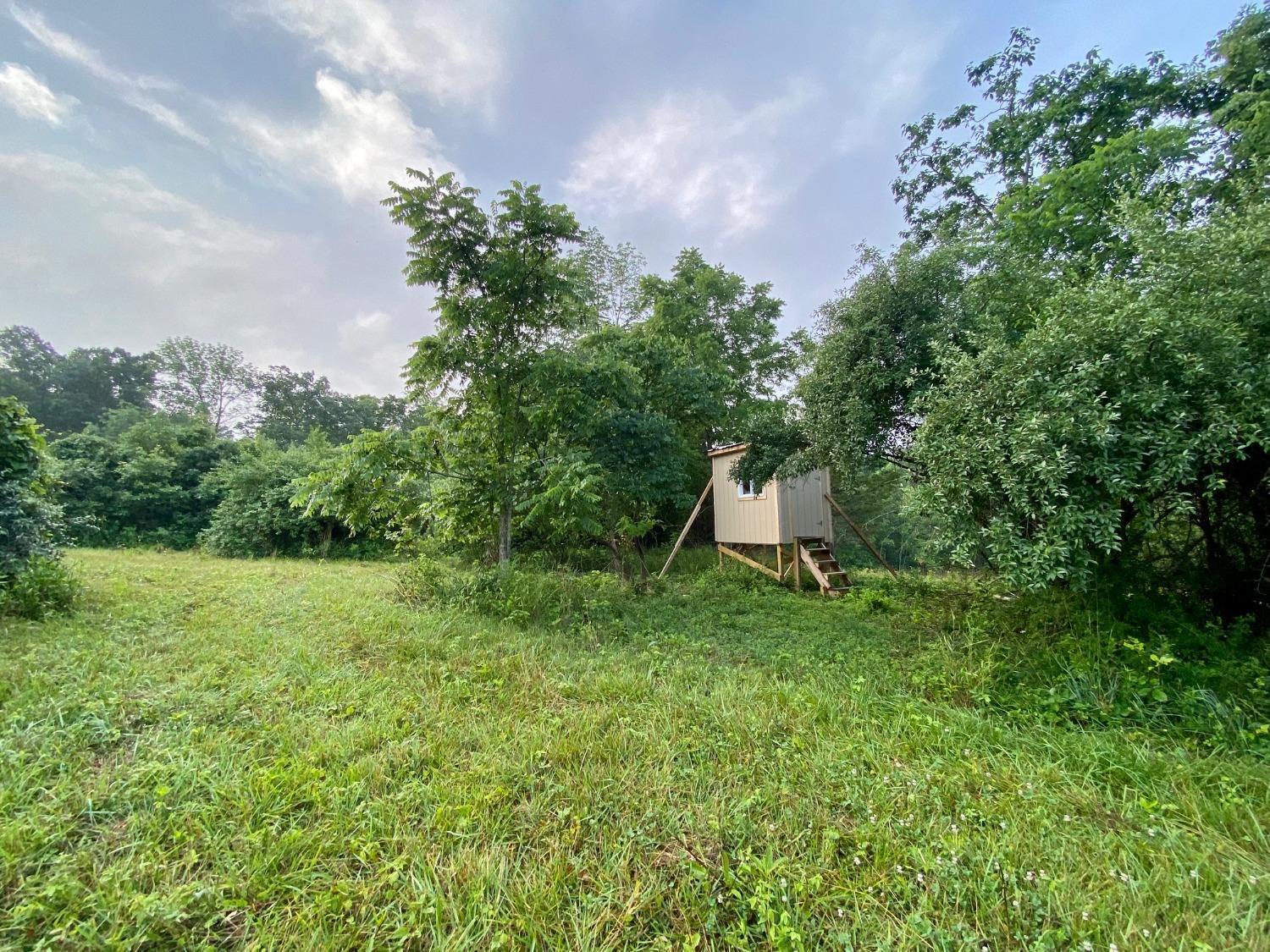 Acre Brier Ridge Road West Union, OH 45693 - Photo 17 of 27