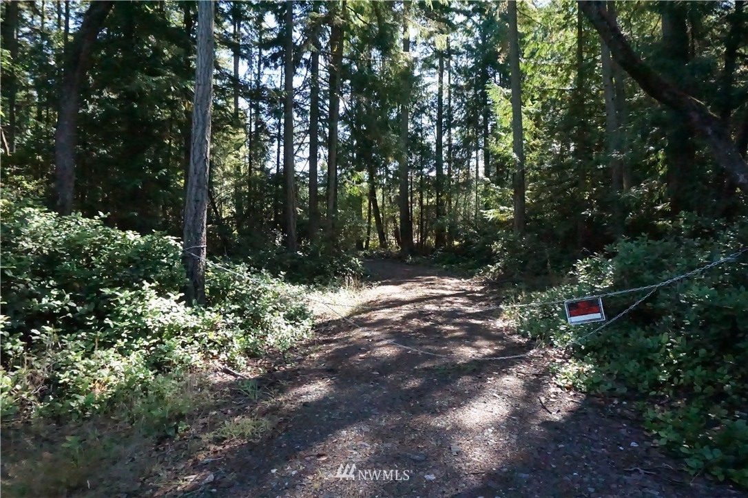 254 Raintree Lane Sequim, WA 98382 - Photo 14 of 20 Gallery Image 14