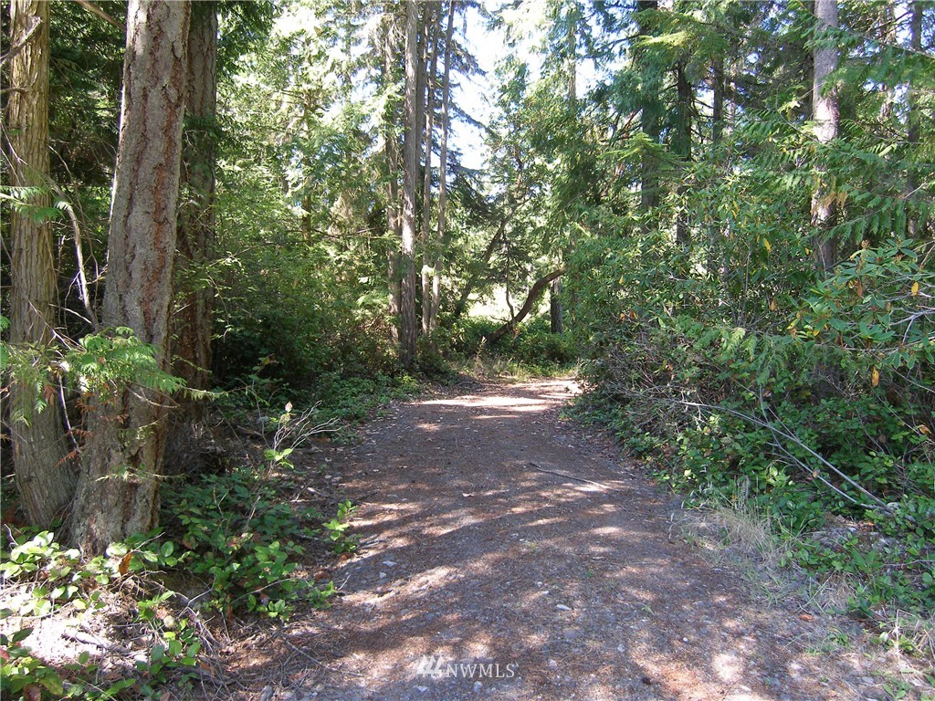 254 Raintree Lane Sequim, WA 98382 - Photo 18 of 20 Gallery Image 18