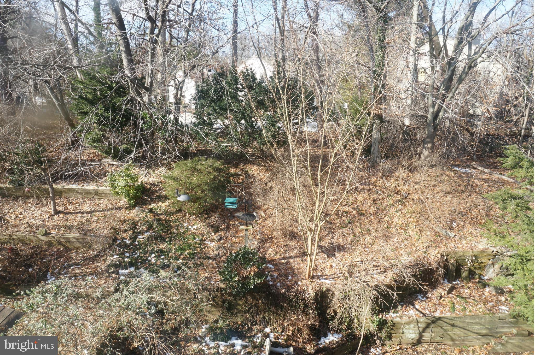 9246 Bellbeck Road Baltimore, MD 21234 - Photo 30 of 30 View from Deck and Back Yard