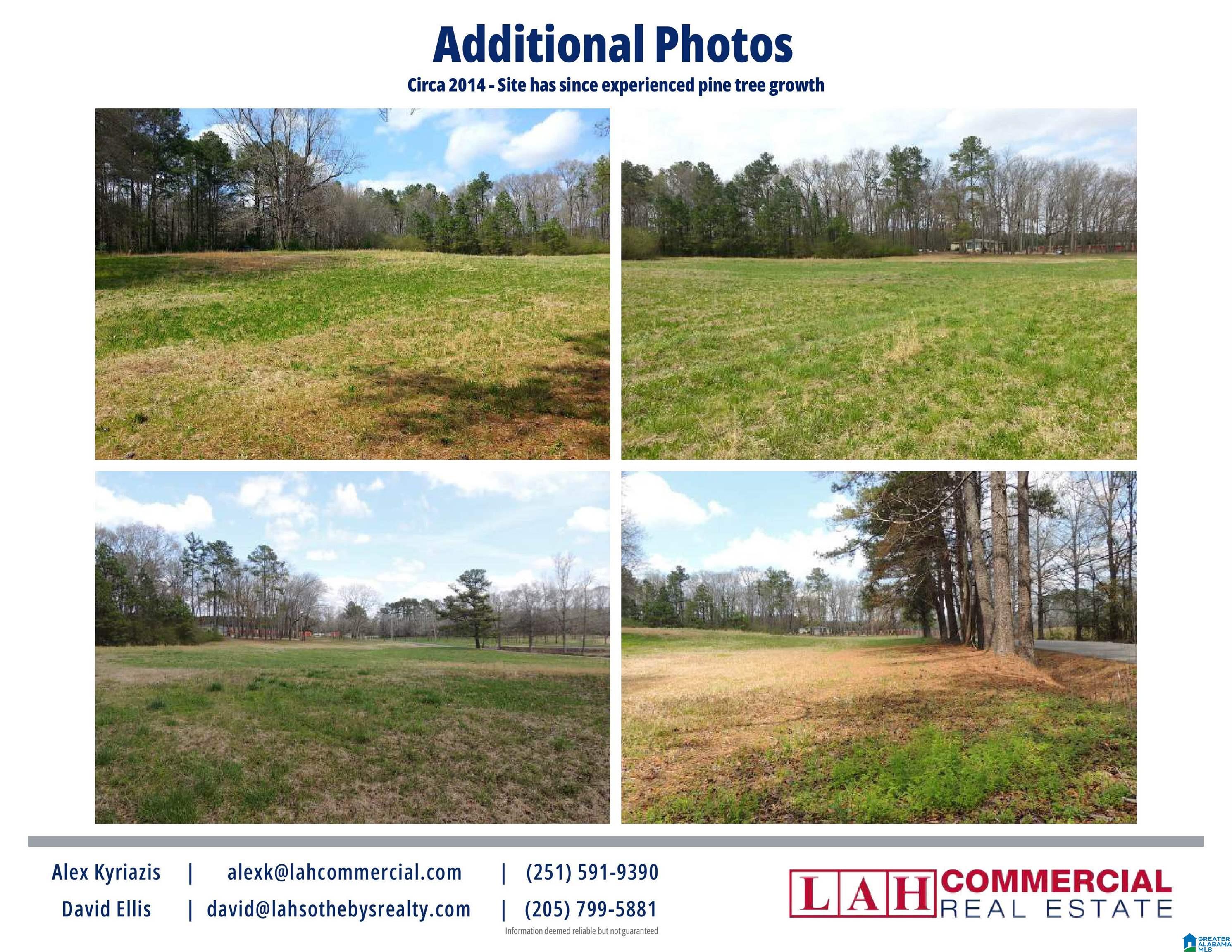 358 Blackwell Dairy Road Jasper, AL 35501 - Photo 21 of 22