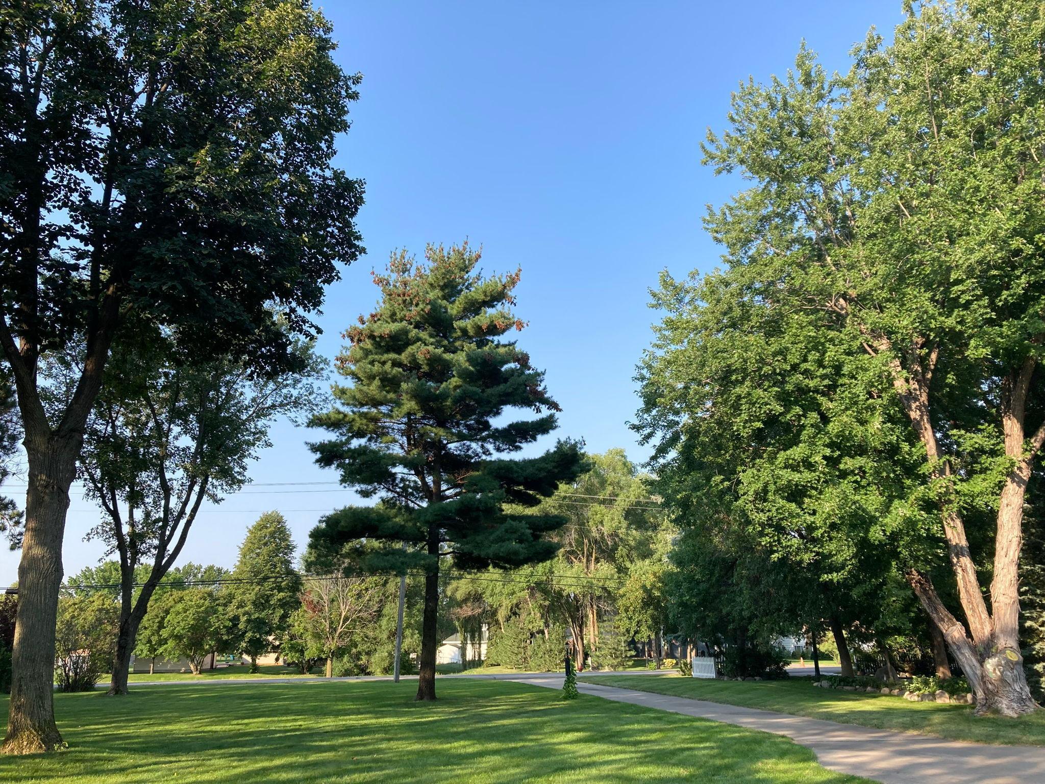 11750 West River Road Champlin, MN 55316 - Photo 4 of 39