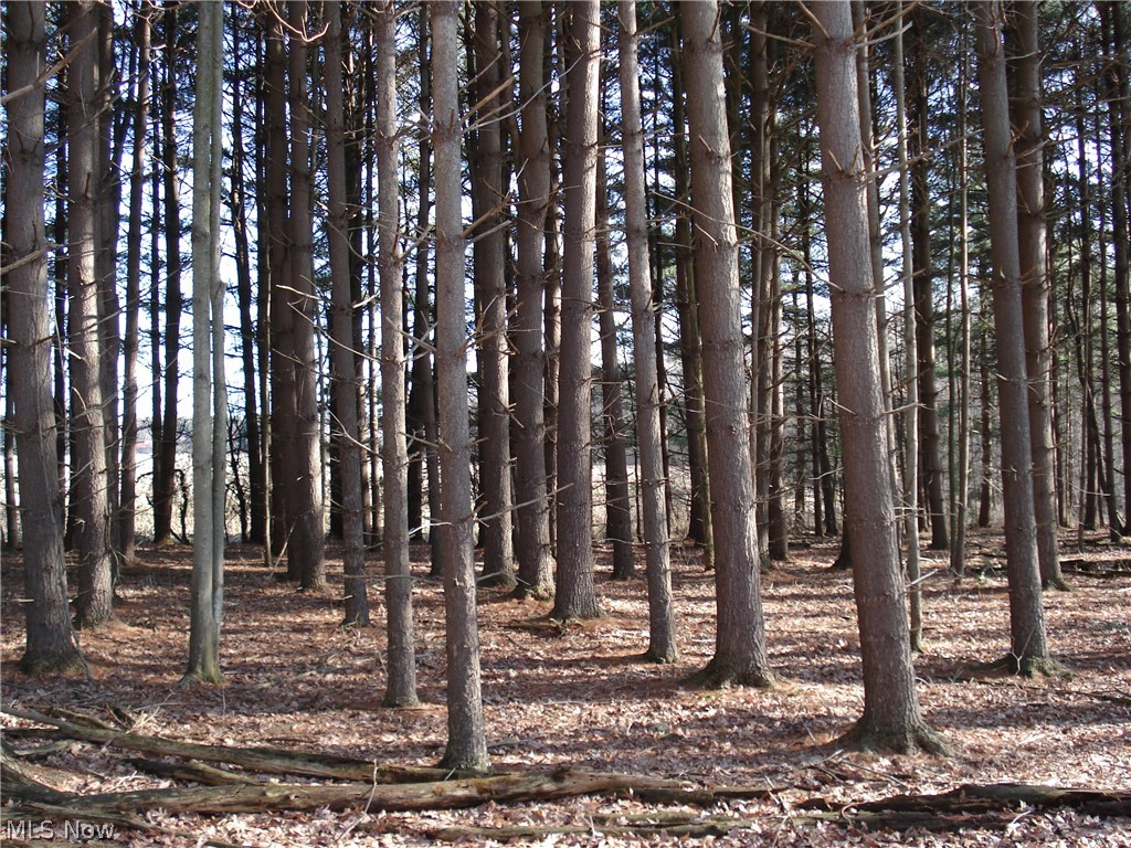 3000 Tower Road Dorset, OH 44032 - Photo 32 of 34 Gallery Image 32