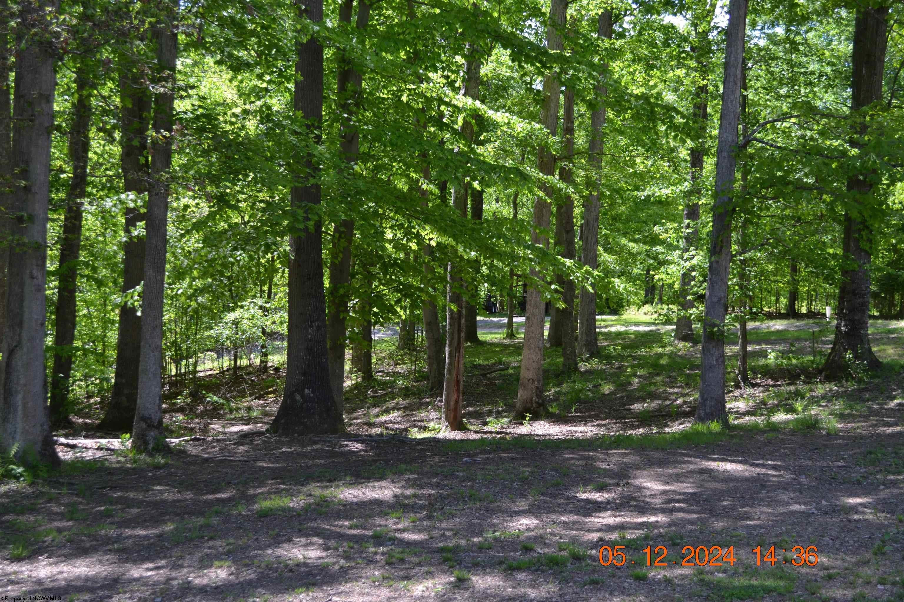 178 Rocco Run Road Walkersville, WV 26447 - Photo 32 of 38 Gallery Image 32