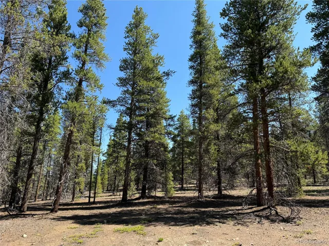 a view of a dry yard with mountains in the background