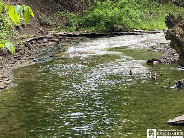Rt-5 Road Westfield, NY 14787 - Photo 2 of 15 CREEK BED TO EXPLORE