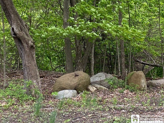 Rt-5 Road Westfield, NY 14787 - Photo 5 of 15 CAMP SITE