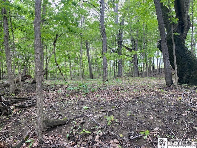Rt-5 Road Westfield, NY 14787 - Photo 6 of 15 CAMP SITE