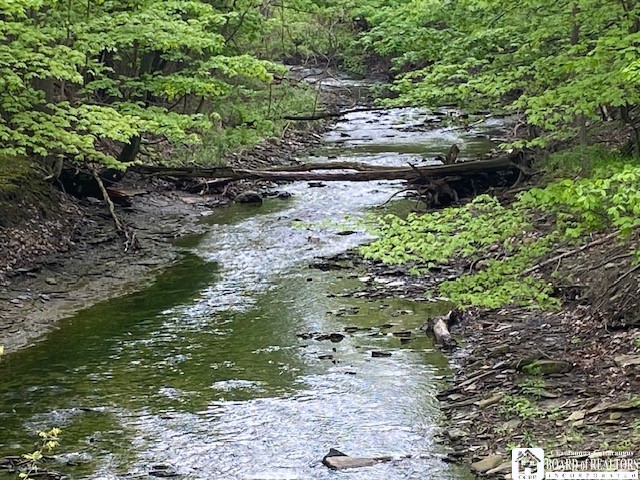 Rt-5 Road Westfield, NY 14787 - Photo 10 of 15 CREEK TO EXPLORE FOR MILES