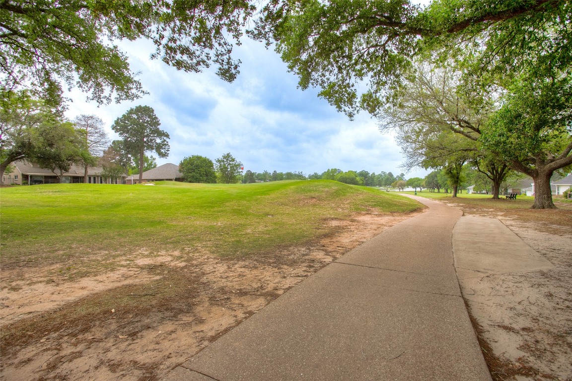 134 Waters Edge Huntsville, TX 77340 - Photo 5 of 38 a view of a big yard with an trees